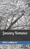 January Romance B08T8HG66B Book Cover