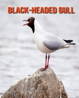 Black-Headed Gull: Fun Learning Facts About Black-Headed Gull B08KQDYLSD Book Cover