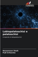 Labiopalatoschisi e palatoschisi: Compendio di labiopalatoschisi 6205999137 Book Cover