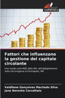 Fattori che influenzano la gestione del capitale circolante (Italian Edition) 6208643430 Book Cover