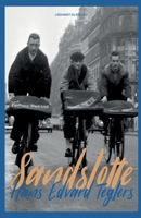 Sandslotte 8711939893 Book Cover