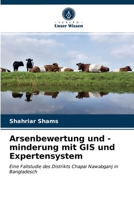 Arsenbewertung und -minderung mit GIS und Expertensystem 6202827734 Book Cover