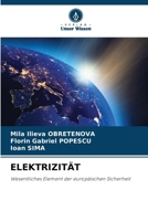 ELEKTRIZITÄT: Wesentliches Element der europäischen Sicherheit (German Edition) 6203897647 Book Cover