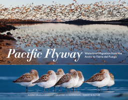 Pacific Flyway: Waterbird Migration from the Arctic to Tierra del Fuego 1632171341 Book Cover