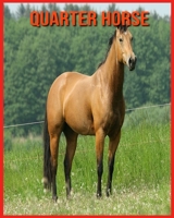 Quarter Horse: Informations Fascinantes Concernant les Quarter Horse avec de Superbes Images pour Enfants! B08WJY6KWQ Book Cover