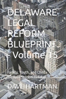 DELAWARE LEGAL REFORM BLUEPRINT - Volume 15: Family, Youth, and Child-Welfare System Reform B0GMFH4R55 Book Cover