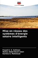 Mise en réseau des systèmes d'énergie solaire intelligents 6204060996 Book Cover