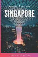 Singapore: The Solo Girl's Travel Guide 1661478212 Book Cover