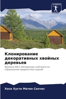 Клонирование декоративных хвойных деревьев: Влияние AIB и температуры субстрата на образование придаточных корней 6206035034 Book Cover