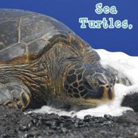 Sea Turtles, What Do You Do? 1604724285 Book Cover