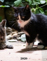 2020: A Catlovers Weekly Planner. 7 X 9 Inches. Beautifully Crafted but Compact Enough to Carry in Purse or Backpack. Included in Planner is a 2-Year Calendar, Extra Pages, and Space for Tracking/Appo 1711908630 Book Cover