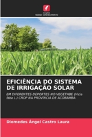 Eficiência Do Sistema de Irrigação Solar 6205559196 Book Cover