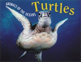 Sea Turtles (Animals of the Ocean) 0764115995 Book Cover