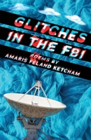 Glitches in the FBI 1735151610 Book Cover