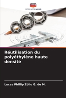 Réutilisation du polyéthylène haute densité 620729825X Book Cover