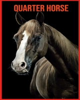 Quarter Horse: Fatti sorprendenti e immagini sui Quarter Horse B08XLGFQWK Book Cover