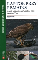 Raptor Prey Remains: Guide Identifying 1784272078 Book Cover