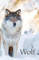 Wolf: A discreet password book for people who love wolves 1983997463 Book Cover