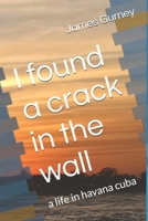 I found a crack in the wall B0GHHVY3FV Book Cover