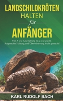 Landschildkröten halten für Anfänger: Von A wie Anschaffung bis Z wie Zucht – artgerechte Haltung und Überwinterung leicht gemacht (German Edition) B08K9WNNDC Book Cover