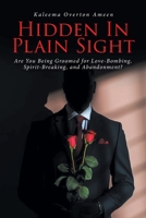 Hidden In Plain Sight: Are You Being Groomed for Love-Bombing, Spirit-Breaking, and Abandonment? B0CJ5WHJQ4 Book Cover