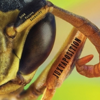 Juxtaposition 1905986130 Book Cover