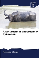 ?????????? ? ????????? ? ... (Russian Edition) 6207957199 Book Cover
