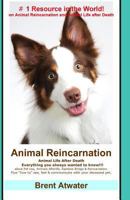 Animal Reincarnation- Do Pets Come Back after They Die? Everything You Always Wanted to Know about Pet Loss, Afterlife, Rainbow Bridge and Reincarnation 1456439502 Book Cover