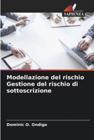 Modellazione del rischio Gestione del rischio di sottoscrizione (Italian Edition) 6207748611 Book Cover