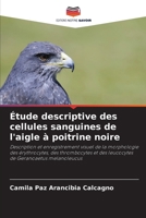 Étude descriptive des cellules sanguines de l'aigle à poitrine noire 6206882837 Book Cover