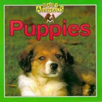 Puppies 1596040351 Book Cover
