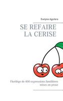 Se refaire la cerise: Florilège de 400 expressions familières mises en prose 232209630X Book Cover