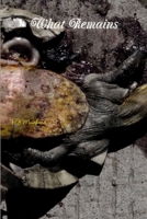 What Remains 1300094842 Book Cover