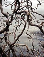 Mist Girl 1438997965 Book Cover