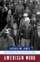 American Work: Four Centuries of Black and White Labor 0393318338 Book Cover