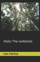 Atelo The wetlans 1676857486 Book Cover