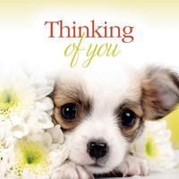 Thinking of You 1415324360 Book Cover