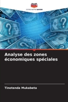 Analyse des zones économiques spéciales 6207511743 Book Cover