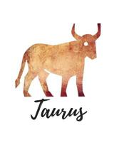 Taurus: Taurus Sketch Book 172778555X Book Cover