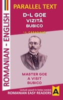 D-L Goe. VizitĂ. Bubico 6069691083 Book Cover