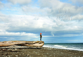 Jesse Burke: Wild and Precious 1942084110 Book Cover