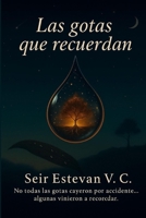 Las gotas que recuerdan (Spanish Edition) B0FF1RTF67 Book Cover