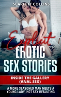 Explicit Erotic Sex Stories: Inside the Gallery (Anal Sex): A more seasoned man meets a young lady, hot sex resulting 1801477922 Book Cover