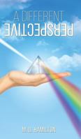 A Different Perspective 178848701X Book Cover