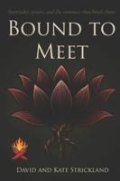 Bound to Meet: Surrender, power, and the romance that binds them (The David and Kate Sessions) B0G3QGCWMJ Book Cover