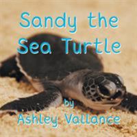 Sandy the Sea Turtle 1786451077 Book Cover