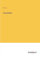 Consolation 1010072218 Book Cover
