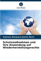 Schutzmaßnahmen und ihre Anwendung auf Wiederherstellungsrechte 6203649791 Book Cover