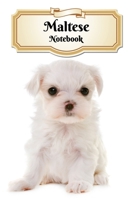 Maltese Notebook: Puppy - Composition Book 150 pages 6 x 9 in. - College Ruled - Writing Notebook - Lined Paper - Soft Cover - Plain Journal 169534099X Book Cover