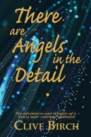 There are Angels in the Detail: The adventures and insights of a 'crazy man' continue unabated 0957130449 Book Cover